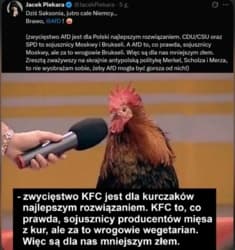 polskie prawactwo cieszy sie z wygranej afd, która nie uznaje naszych zachodnich granic #bekazprawakow #bekazkonfederacji #polityka