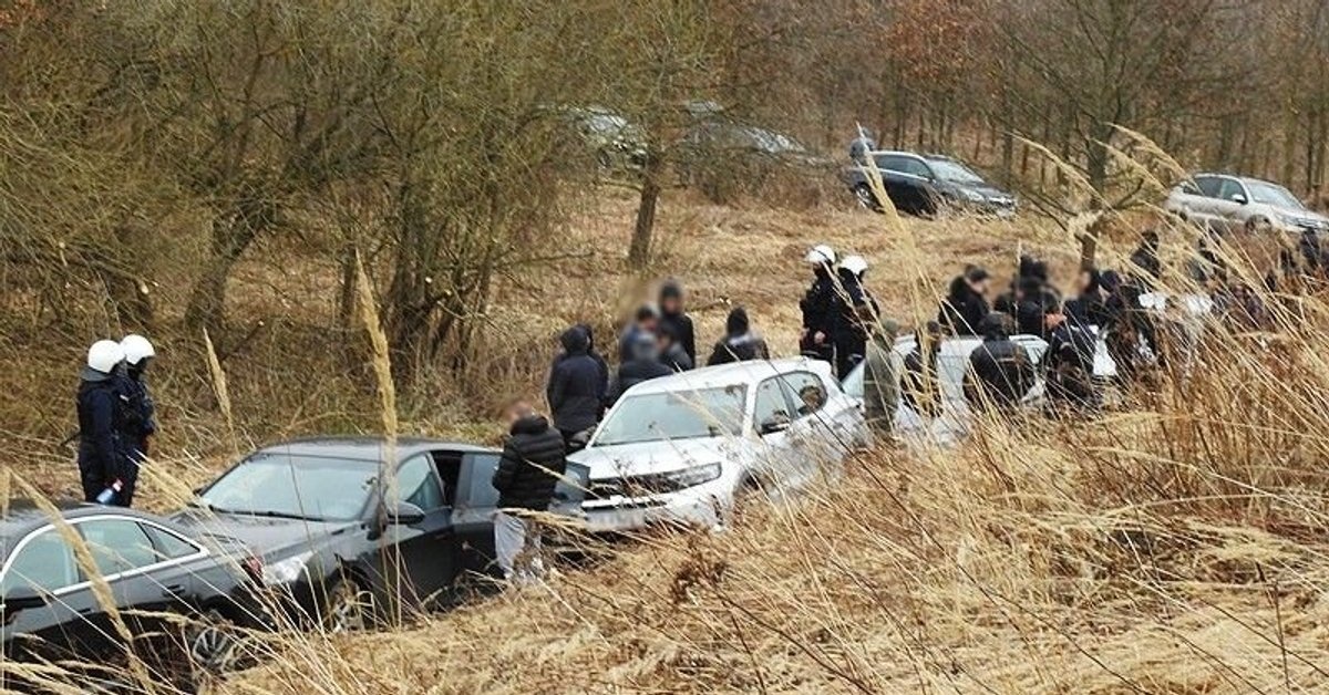 Tłumaczyli, że przyszli na grzyby. Policja udaremniła starcie 200 pseudokibiców