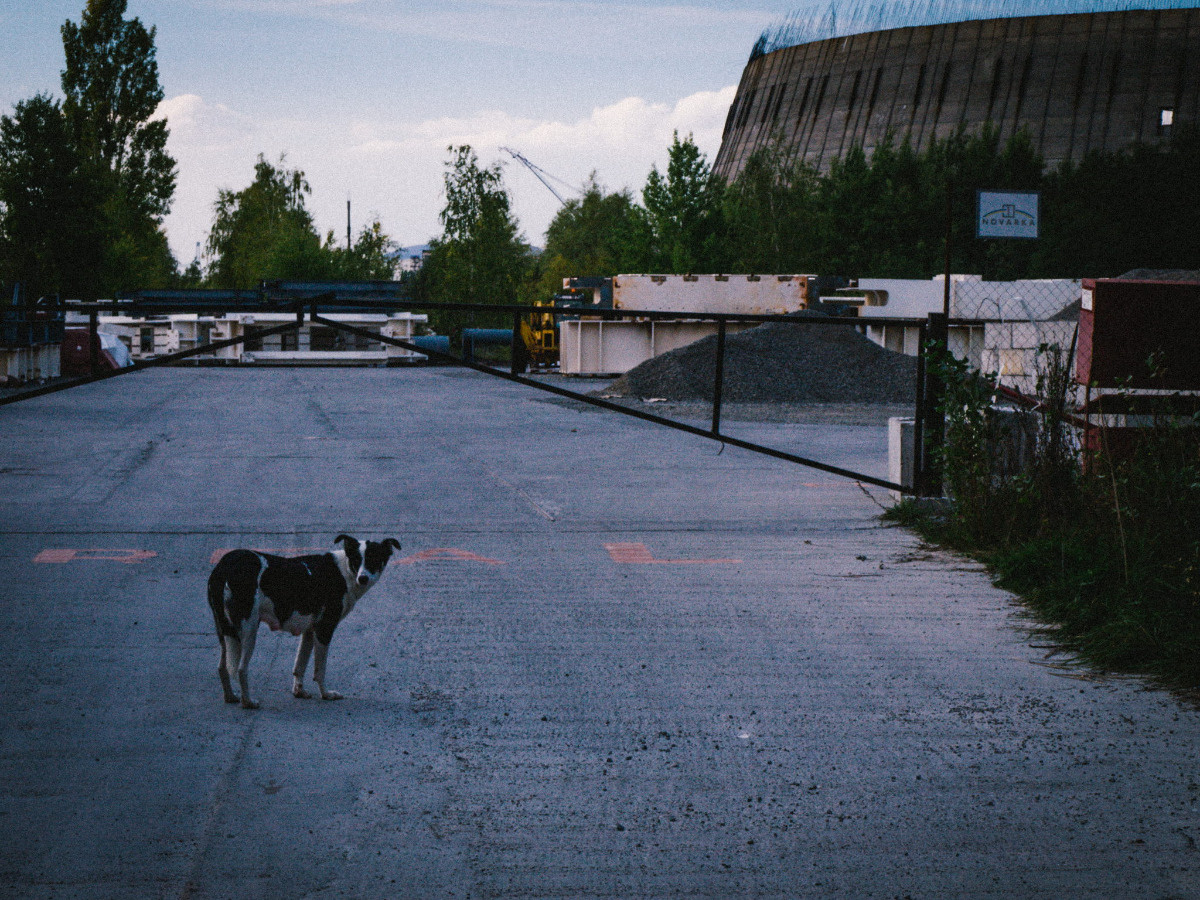 30 lat po końcu świata