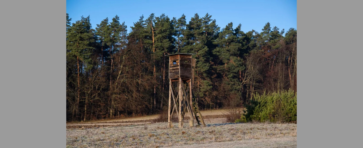 Śmierć na polowaniu. Myśliwy postrzelił kolegę