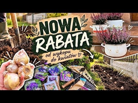 Robię rabatę na wiosnę! Krokusy, tulipany i hiacynty