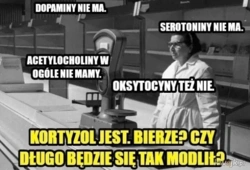 Nie wstawaj. Nie warto #zyciejestnobelon