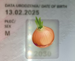 #dziendobry Nadszedł ten dzień, czas leci szybciej niż sobie wyobrażamy :100: :confetti_ball::tada::tada::confetti_ball::gift: Szczypiorek ma już rok! ᕦ( ͡° ͜ʖ ͡°)ᕤ Z tej okazji proszę się poczęstować zozolem, można wziąć dwa jak ktoś chce. Całe szczęście dzisiaj