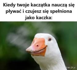Ogólnie to jednym z moich większych sukcesów/osiągnięć było to, jak mama ogarnęła coś sama w bodajże revolucie. Powiedziała, że posłuchała się mnie, jak jej powtarzałem, że ma czytać i rozumieć, co czyta, czytać i rozumieć, czytać i rozumieć i rzeczywiście przeczytała