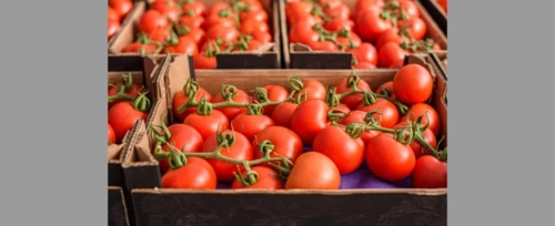 "Niespotykanie drogie". Złe wiadomości dla miłośników warzyw